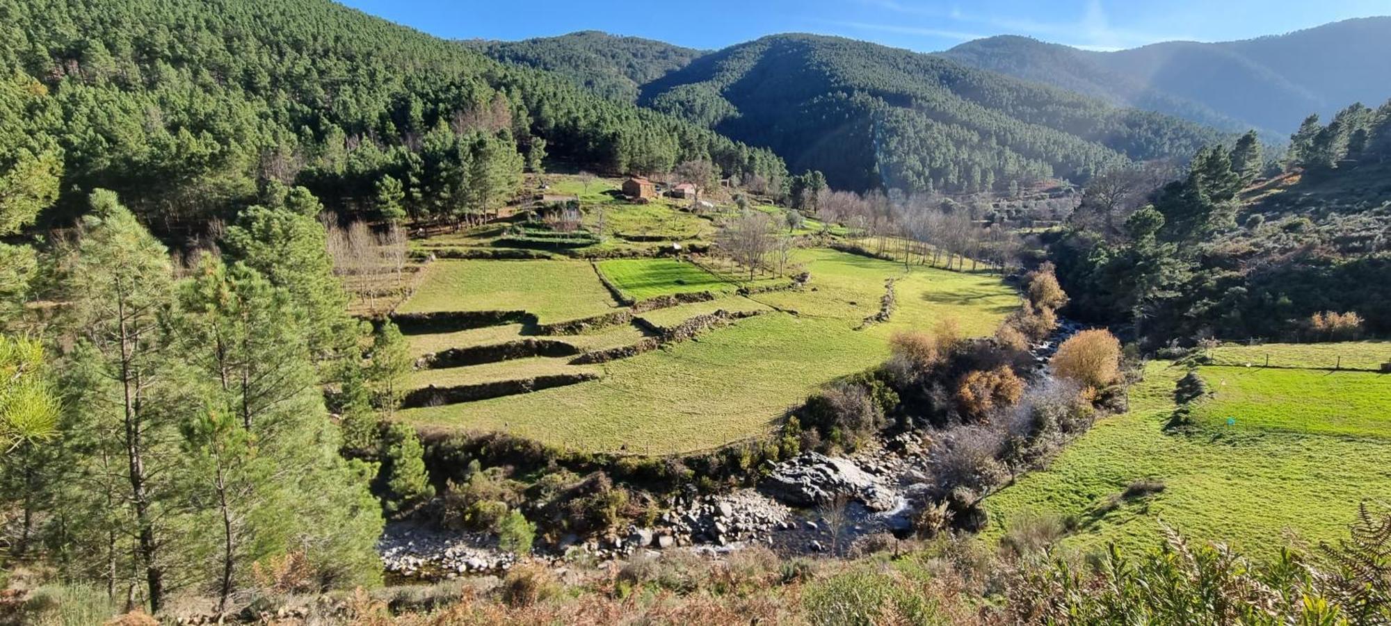 Manteigas Lovers Dış mekan fotoğraf